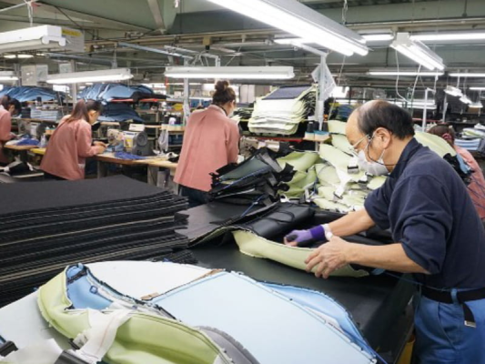 So sánh Thực tập sinh và Kỹ năng đặc định