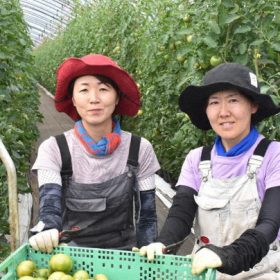 Cách chọn công ty phái cử uy tín khi đi lao động nhật bản 2025