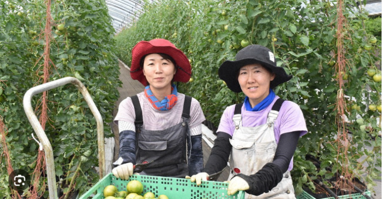 Cách chọn công ty phái cử uy tín khi đi lao động nhật bản 2025